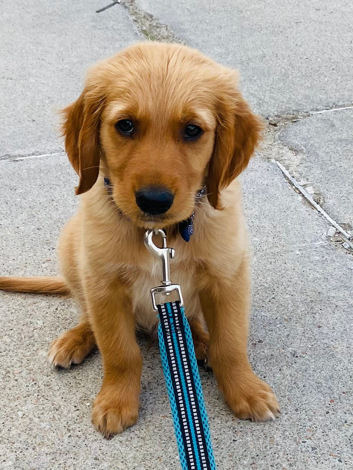 Newburgh Stacked Digital Design