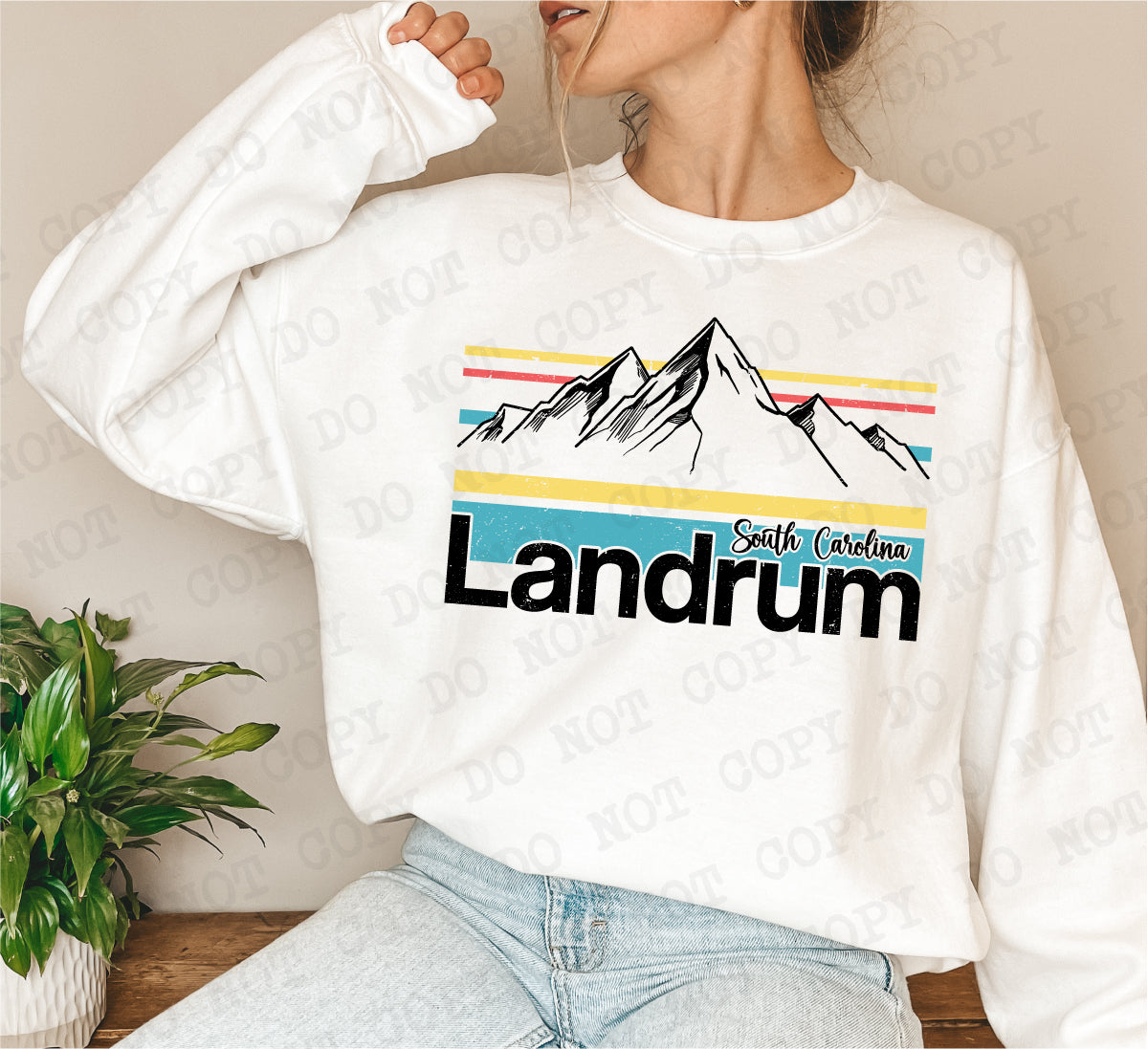 Landrum Home South Carolina Digital Design