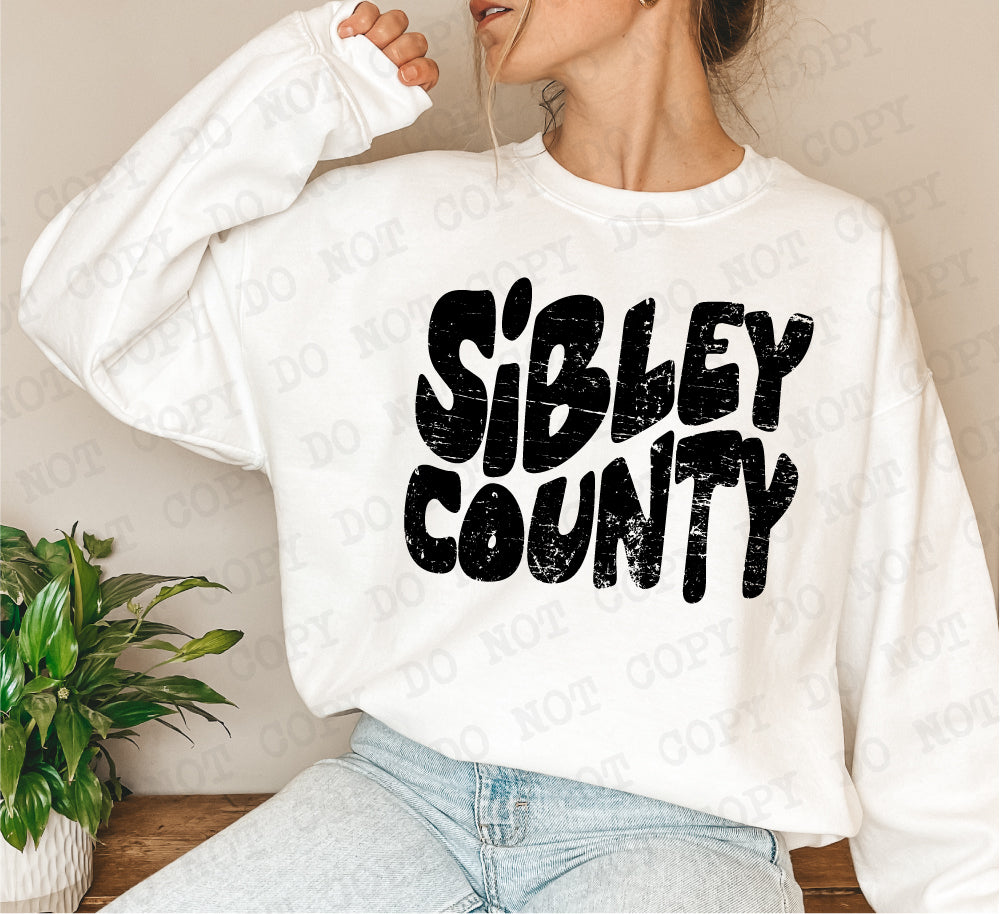Sibley County Digital Design